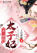 不一样的男妃子百度云