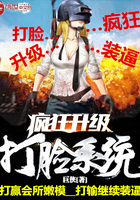 疯狂升级系统一