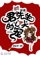 穿成君先生的心尖宠 楼星雨