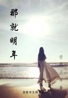 那就明年的事了