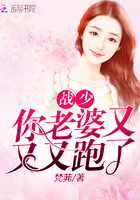 战少你老婆又跑了漫画