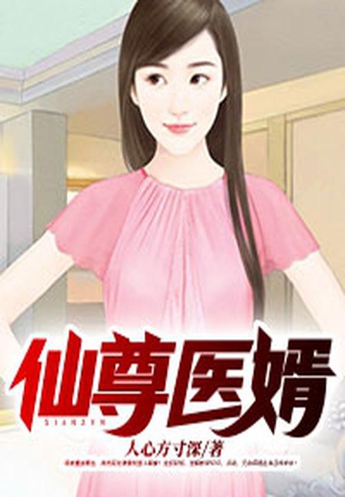 仙尊医婿叶凡