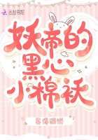 妖帝的腹黑玩宠书包网