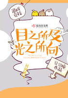 目之所及，光之所向